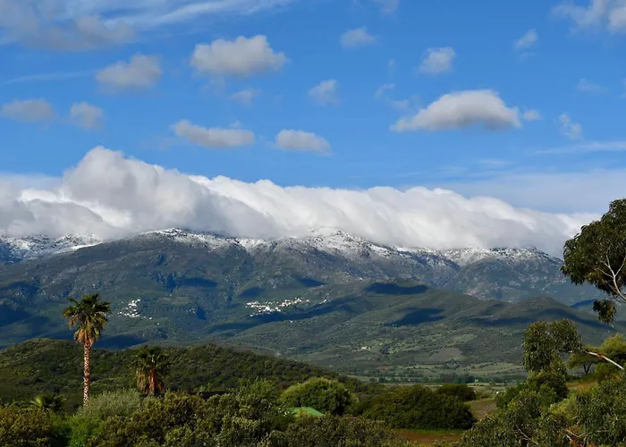 Apartment 60m2 Avec Piscine Privee Dans *